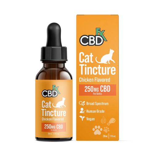 CBD Oil Cat Tincture 250mg In Pakistan